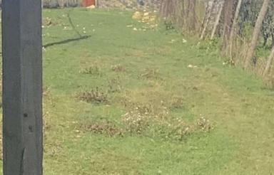 فروش ویلایی در دیلمان ویو بی نظیر 350متر