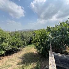 فروش یک هکتار زمین باغی در آهی دشت