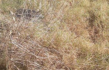 فروش زمین مسکونی 180 متر در حسن آباد