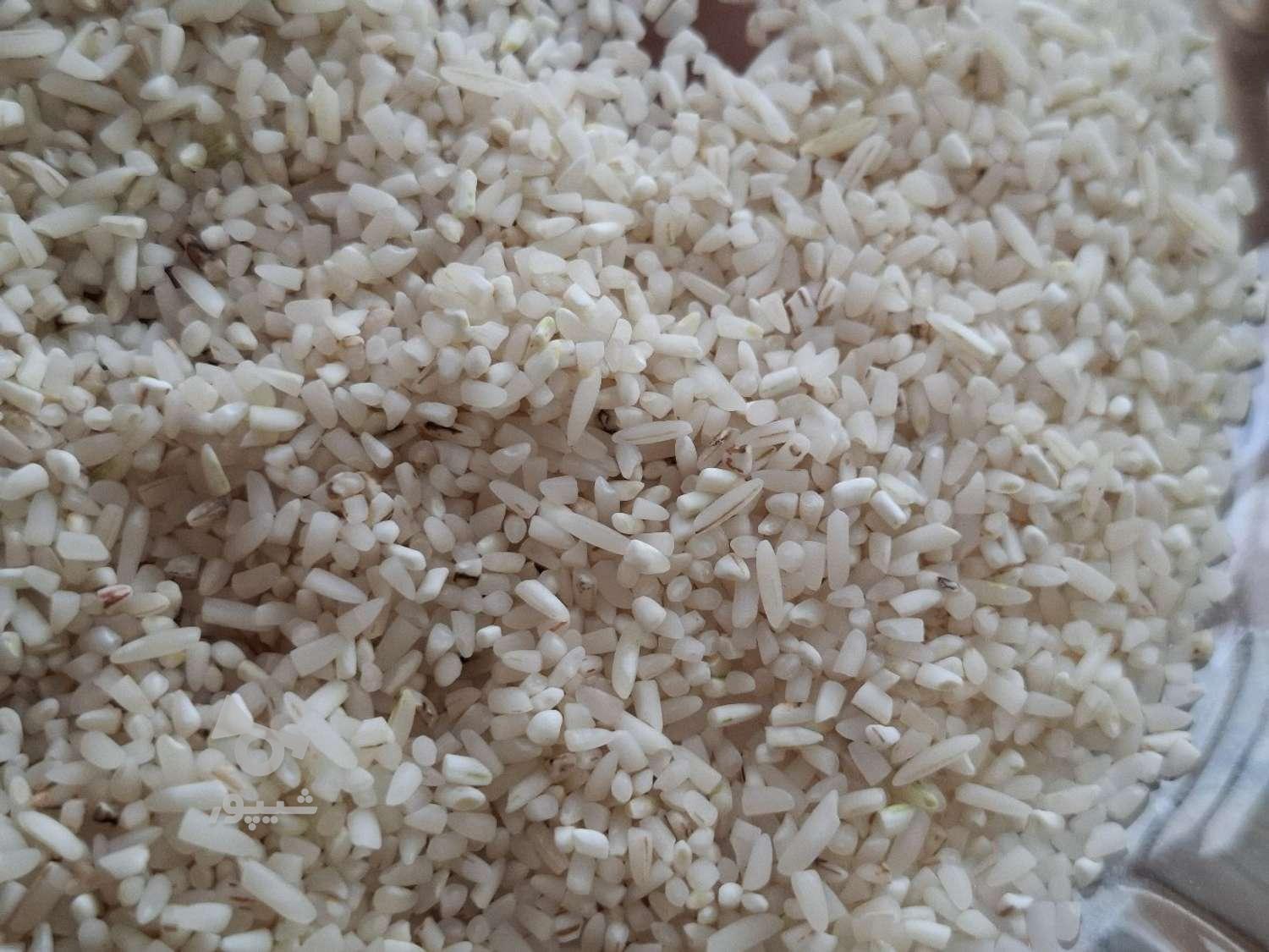 نیم برنج طارم امساله