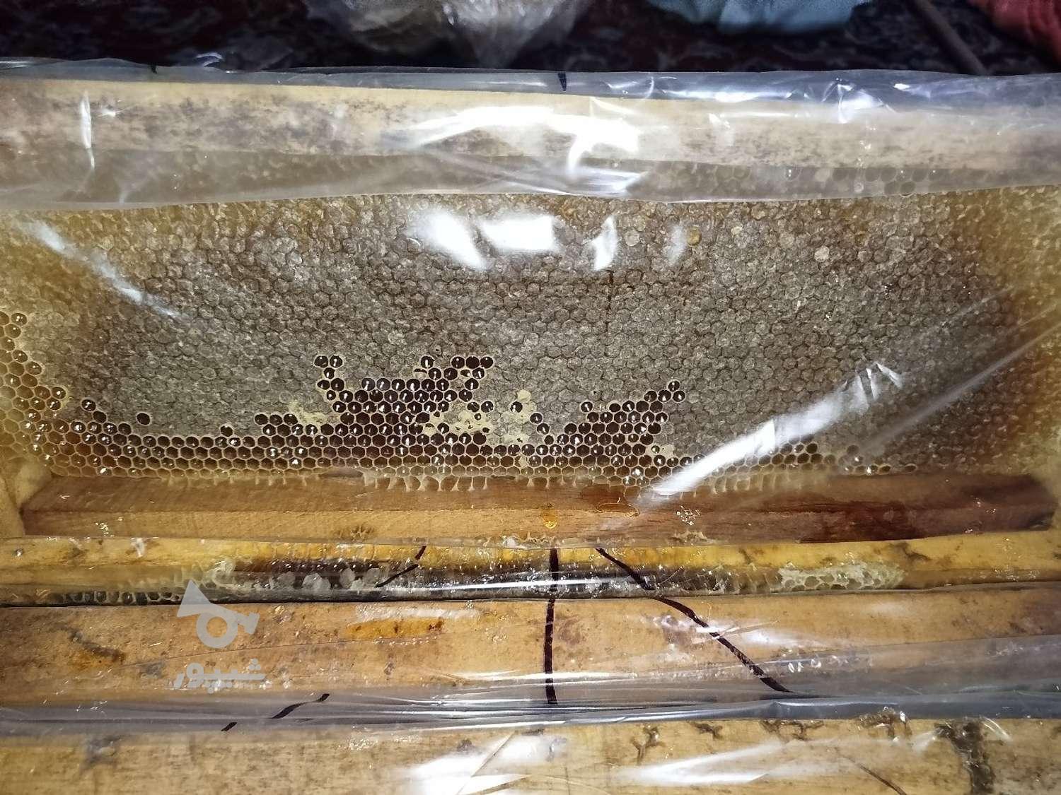 عسل طبیعی شهرستان سراب آذربایجان شرقی