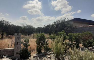 فروش زمین کشاورزی 180 متر در جاده بهنمیر روستای اغوزبن