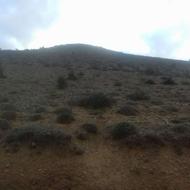 فروش و معاوضه زمین با ماشین