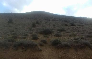 فروش و معاوضه زمین با ماشین