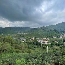 1850 متر زمین با ویوی ابدی کوهستان – 5 دقیقه تا لاهیجان