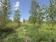 فروش زمین داخل طرح 258 متر در جاده کیاشهر در شیپور