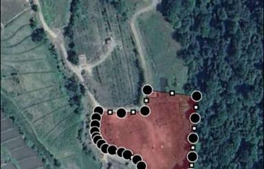 فروش 6000 متر زمین لفور شیرگاه با مجوز