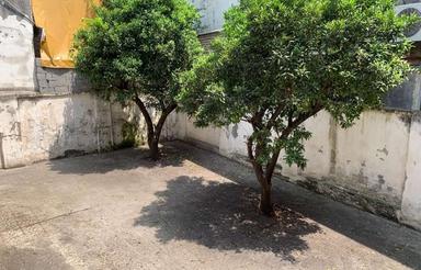 کلنگی 320 متری