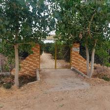 3000 متر باغ مرکبات زیبا جاده دریا، 50درصد قابل تهاتر