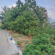 فروش زمین مسکونی 500 متر در شکتا ویو عالی