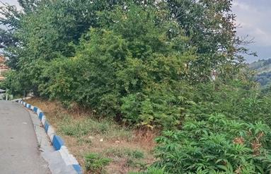 فروش زمین مسکونی 500 متر در شکتا ویو عالی