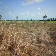 فروش زمین باغی 200 متر در حربده