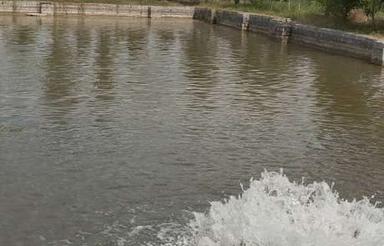 زمین کشاورزی 20,000 متری در جاده جویبار-بهنمیر