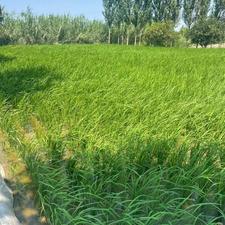 فروش زمین افساطی 400متر