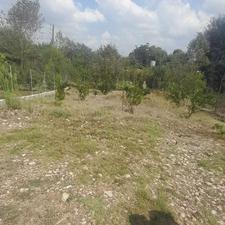 فروش یا معاوضه باغچه 200 متری در دلاکخیل