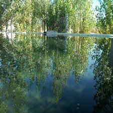 باغ میوه حصارفروش فوری