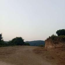 فروش باغ مرکبات بر آسفالت 4000 متر در سالار دره