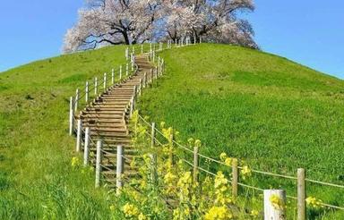 فروش زمین مسکونی 380 متر در امام ده