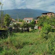 464متر زمین سند6دانگ.چشمانداز زیبا.هچیرود