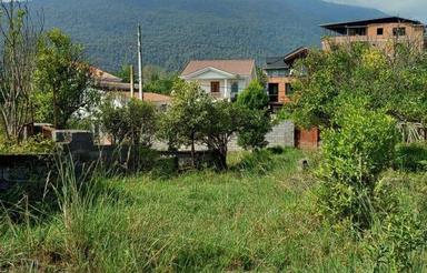 464متر زمین سند6دانگ.چشم‌انداز زیبا.هچیرود