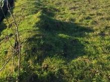 فروش زمین مسکونی 500 متر در خیابان فردوسی غربی در شیپور