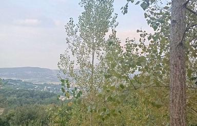 فروش باغ صنوبر3000 متر در شکتا