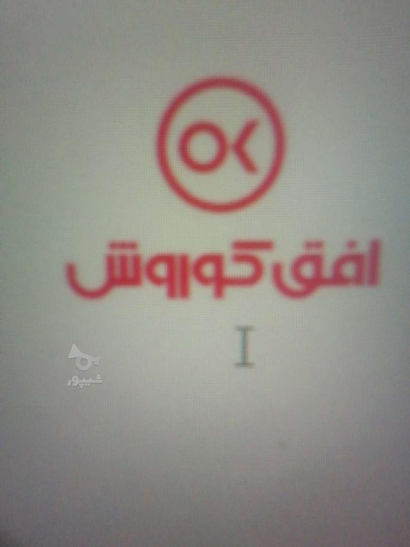 انتظامات و حراست افق کوروش - undefined
