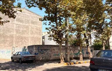 245 متر گنجی با 30٪ سود ساخت