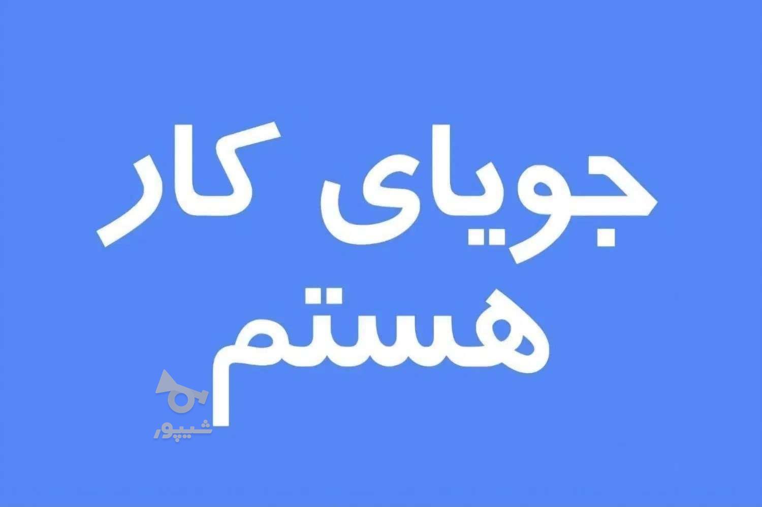 جویای کار هستم - undefined