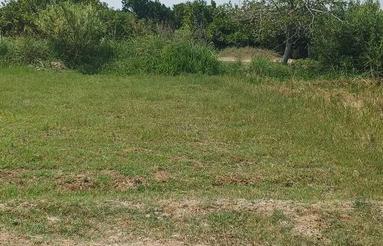 زمین 250 متری اول همت آباد