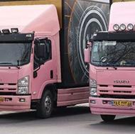 اسباب کشی تضمینی آرامش بار