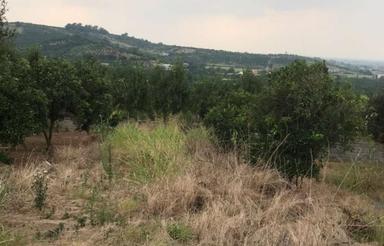 زمین مسکونی 550 متر در میکلا قائمشهر سند دار