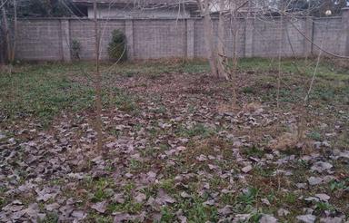 یک قطعه زمین مسکونی 200متری با سند تک‌برگ در [طاهرگوراب]