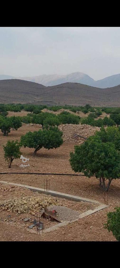 نیازمند یک نفر کارگر ساده بلوچ جهت جمع کردن انجیر خشک - undefined