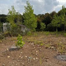 800متر زمین چسب جنگل سانخیل