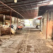 فروش صنعتی ( دود خانه) 1050 متر در جاده چمخاله