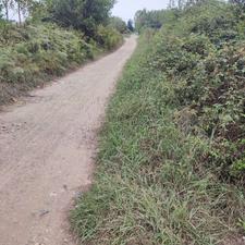 زمین باغی 1,050 متری