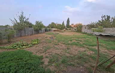 فروش زمین کشاورزی 500 متر در بالا افراکتی