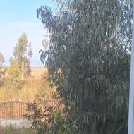 فروش زمین ساحلی لب اب 7000 متری در چپکرود