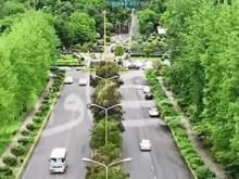 فروش زمین مسکونی 1800 متر درجنب نمک آبرود در شیپور