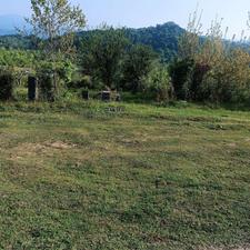 200 متر زمین باغی کوره شیرنسا لاهیجان