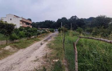 فروش زمین  شهرکی 400 متری ویو جنگلی در مزرس