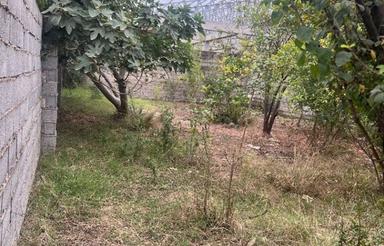 فروش 200 متر مسکونی در وسطی کلا