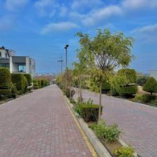 فروش زمین مسکونی 900 متر در چلندر/ویو ابدی جنگل و دریا