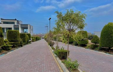 فروش زمین مسکونی 900 متر در چلندر/ویو ابدی جنگل و دریا