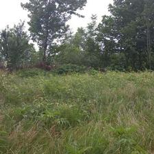 دو قطعه زمین200متری در کوشال لاهیجان