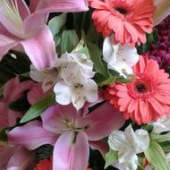 جهت نظافت منزل به یک نفر خانم نیاز هست