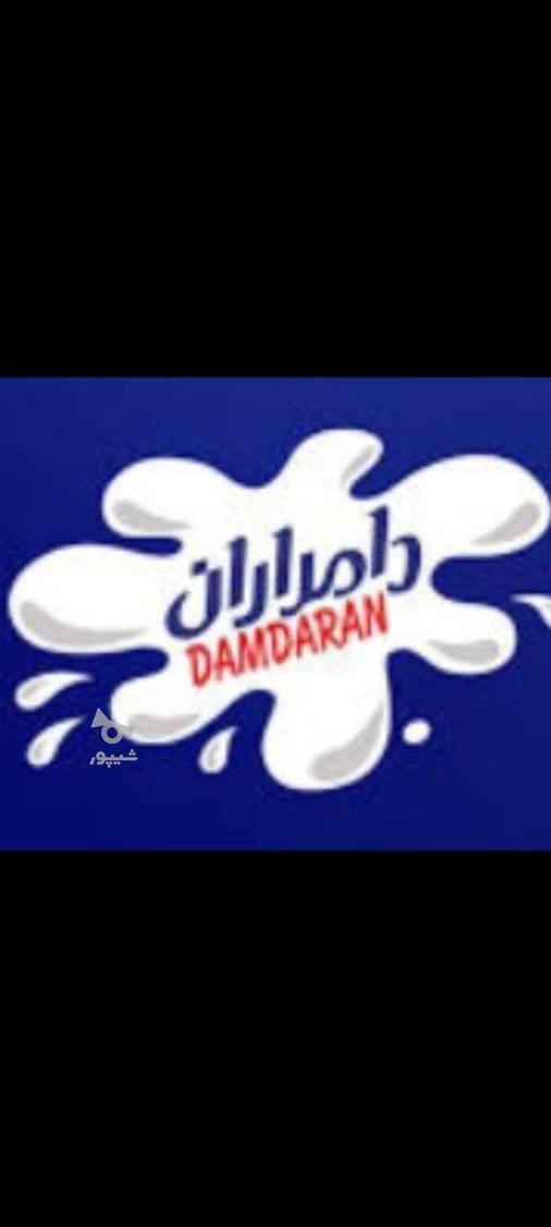 راننده موزع توزیع - مرتضی