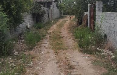 فروش زمین مسکونی 400 متر در چمازین