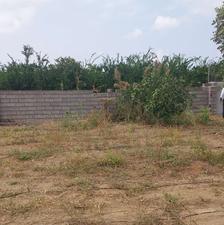 فروش زمین کشاورزی 320 متر در جاده بهنمیر